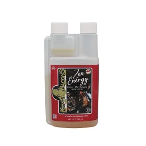 Kevin Bacon's Zen Energy 400ml